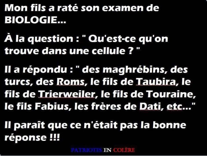 Blague   mon fils a raté son examen de biologie   la question c'était quest ce qu'on trouve dans une celule   il a marqué des magrébins des roms des politiciens des banquiers