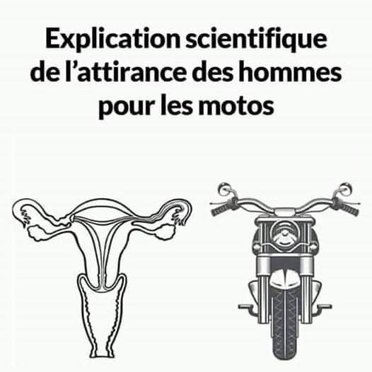 Blague   moto   sexe   explication scientifique d el'attirance des hommes pour les motos