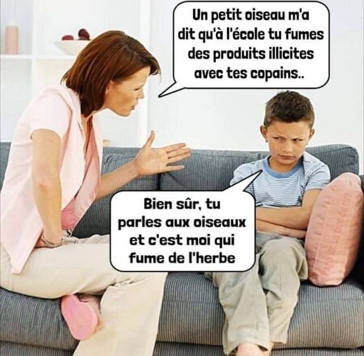 Blague   mère qui dit à son fil   un petit oiseau m'a dit qu'à l'école tu fumes des produits illicites  l'enfant répond bien sur tu parles aux oiseaux et c'est moi qui fume de l'herbe