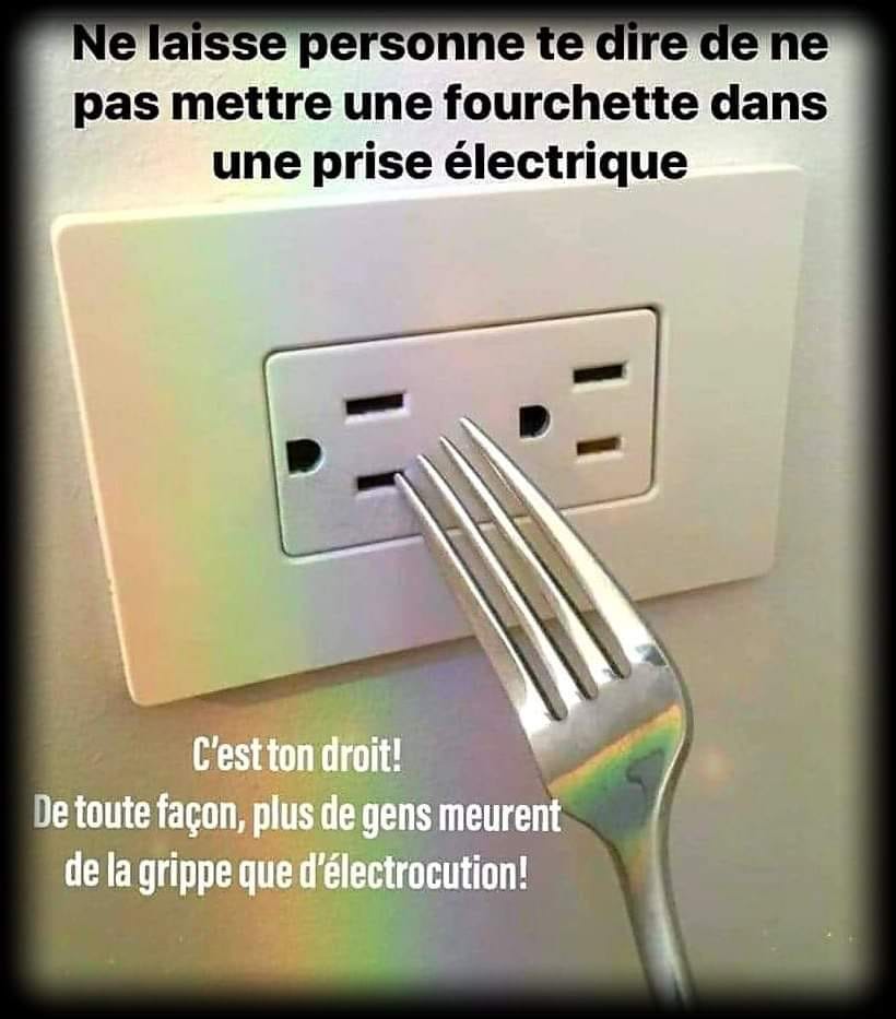 Blague   ne laisse personne te dire de ne pas mettre une fourchette dans une prise électrique,c'est ton droit