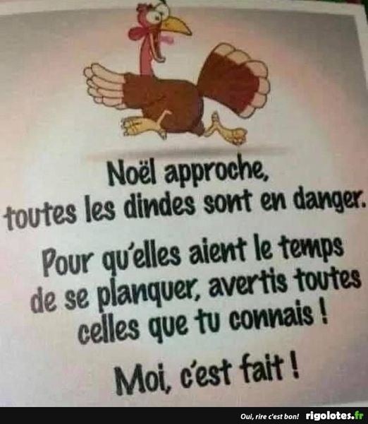 Blague   noel approche toutes les dindes sont en dangers pour qu'elle est le temps  de se planquer  avertis toutes celle que tu connais