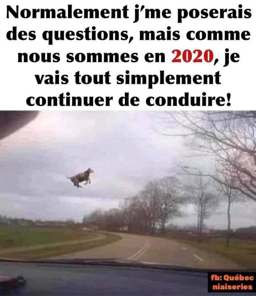 Blague   normalement j'me poserais des questions mais nous sommes en 2020 je vais continuer tout simplement de conduire   vache emporter par une tornade