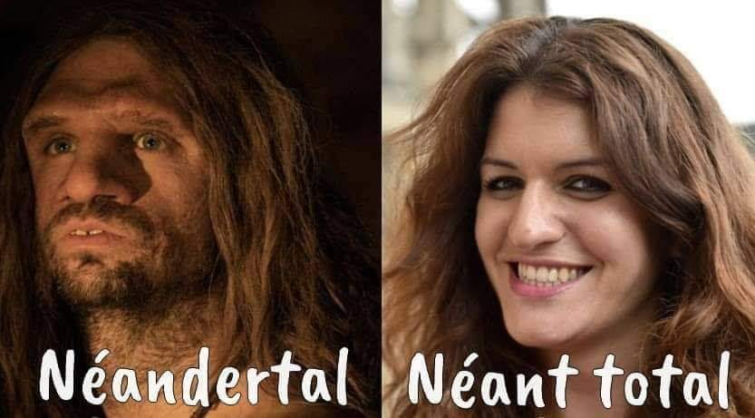 blague   néandertal et néant total