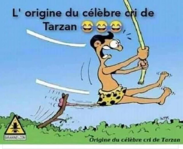 Blague   Origine du célèbre cri de Tarzan