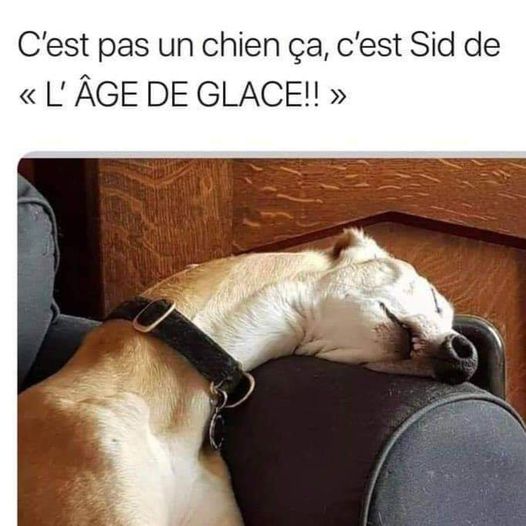 Blague   on a retrouvé sid de l'age de glace