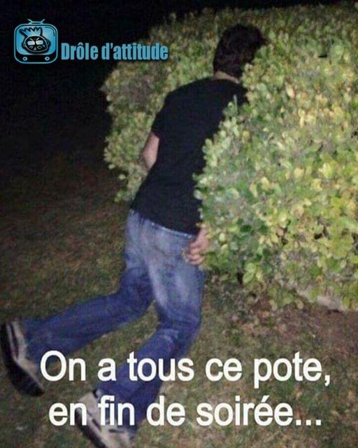 Blague   on a tous ce pote enfin de soirée   homme dans buisson