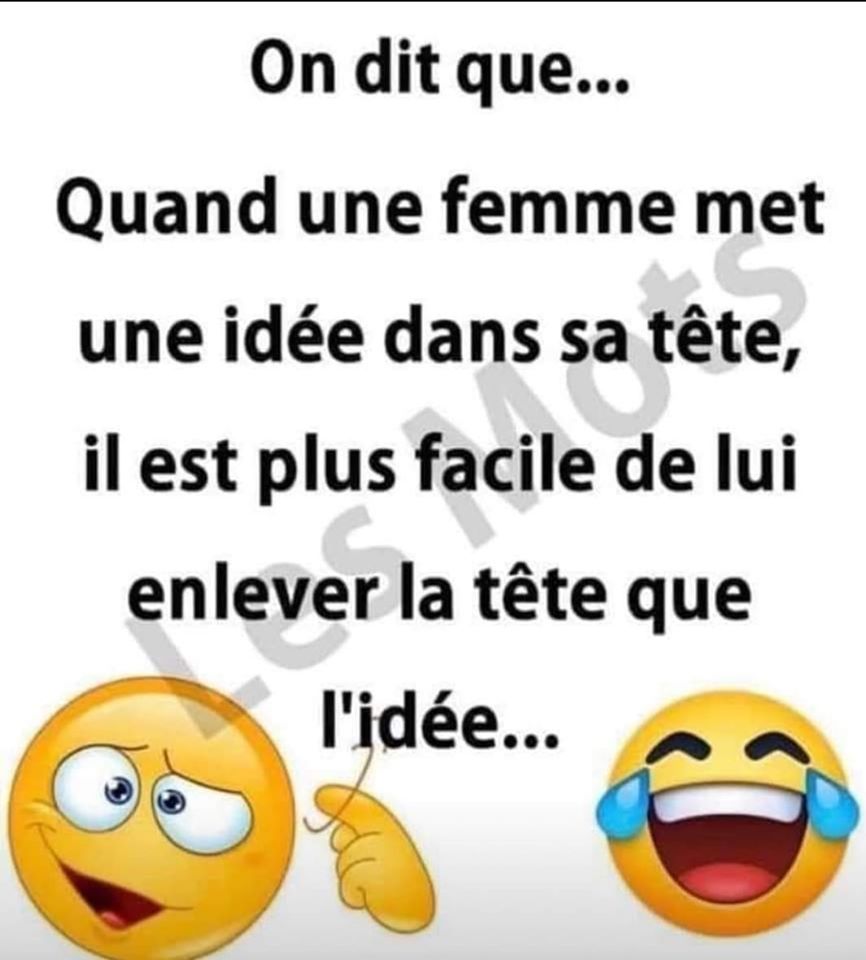 Blague   on dit que quand une femme met une idée dans sa tête il est plus facile de lui enlever la tête que l'idée