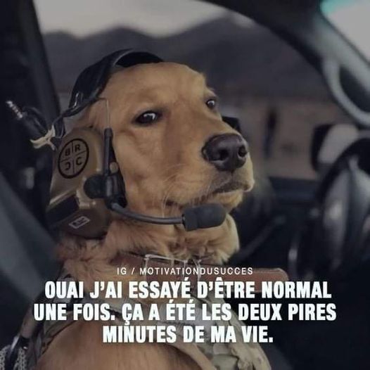 Blague   ouai j'ai essayer d'être normal une fois, ça été les 2 pires minutes de ma vie