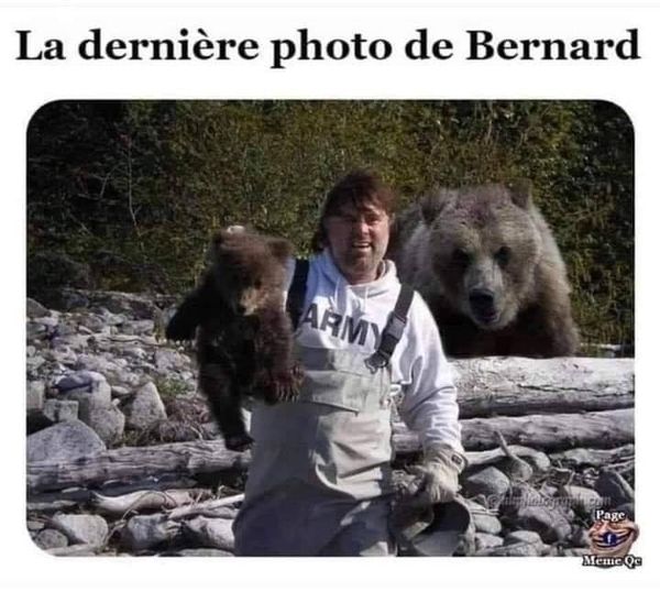 Blague   ours   la dernière photo de Bernard