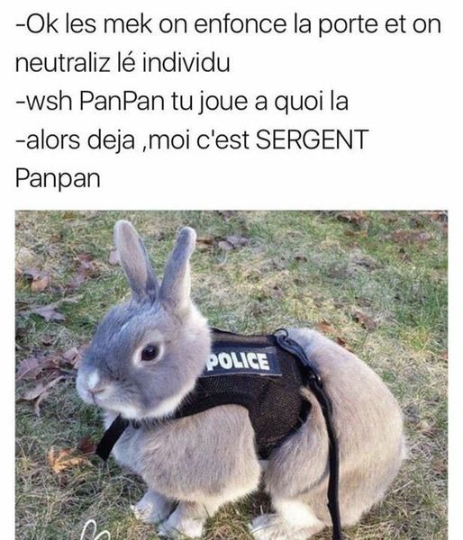 blague   ok les mek on enfonce la porte et on neutralise l'individu  l'autre répond pan pan tu joue à quoi la l'autre  alors déjà moi c'est sergent panpan