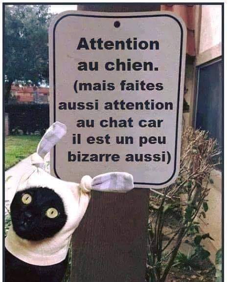 Blague   panneau   chat   attention aux chien mais fait attenton au chat il est un peu bizard aussi