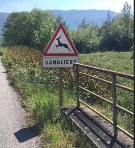 Blague   panneau de signalisation   avec une biche écrit sanglier en dessous