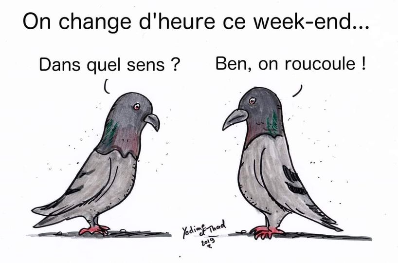 Blague   pigeon qui dit on change d'heure ce week end   dans quel sens l'autre répond on roucoule