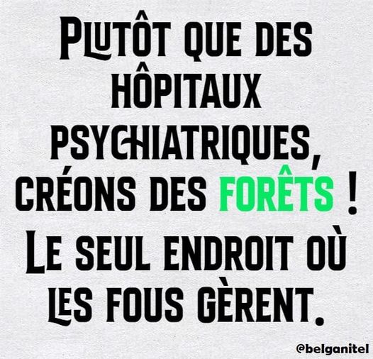 Blague   plutot que des hopitaux psychiatrique   créons des forêts le seul endroit où les fous gèrent