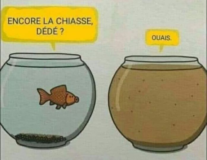 Blague   poisson dans son bocal qui dit encore la chiasse l'autre répond ouai