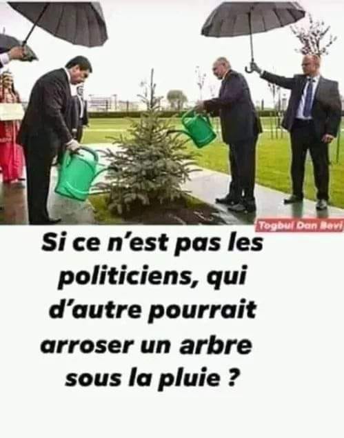 Blague   politicien   qui arrose un arbre sous la pluie