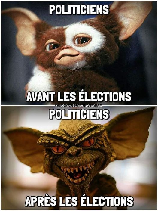 Blague   politicien avant les election spoliticien après les elections