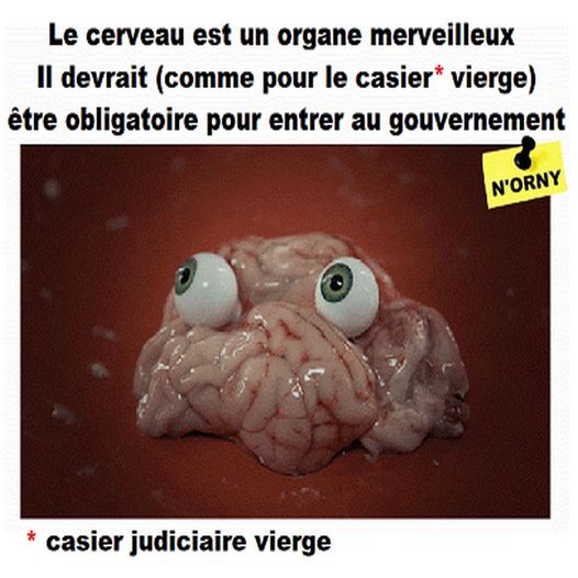 Blague   politique   le cerveau est un organe merveilleux il devrait (comme pour le casier vierge ) être obligatoire pour entrer au gouvernement