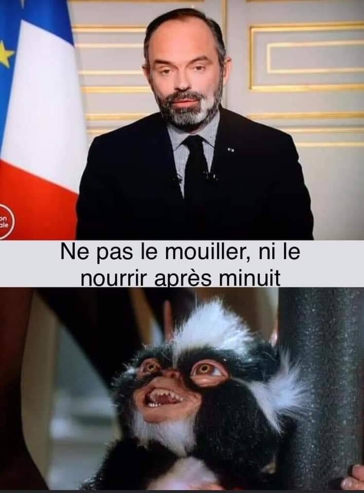 Blague   politique   édouard philippe   ne pas le mouiller ni le nourrir après minuit   transformation en gremmlins