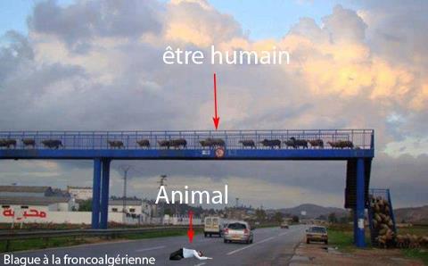 Blague   portique de sécurité avec humain sur la route