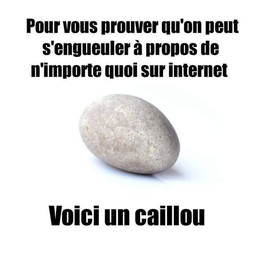 Blague   pour prouver qu'on peut s'engeuler à propos d en'importe quoi sur internet voici un caillou