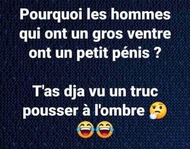 Blague   pourquoi les hommes qui ont un gros ventre ont un petit pénis   réponce t'as déjà vu un truc poursser à l'ombre