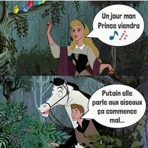 Blague   princesse qui dit un jour mon prince viendra   le prince qui arrive   putain ça commence mal elle parle aux oiseaux