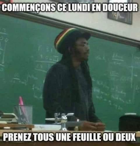 Blague   prof jamaicain commençon ce lundi douceement