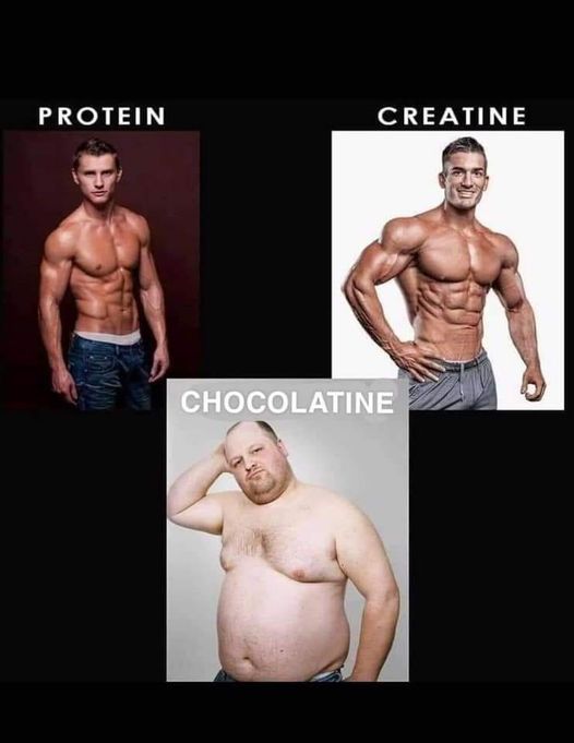 Blague   protein   créatinine   chocolatine