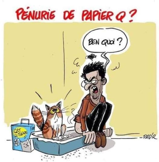 Blague   pénurie de Papier PQ   homme qui chie dans la litière du chat