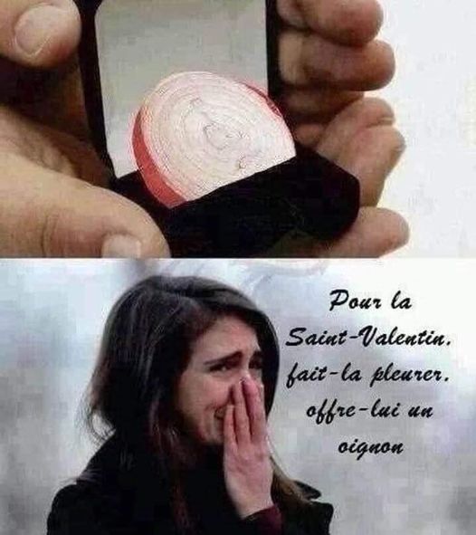 blague   pour la saint valentin , fais la pleurer offre lui un oignon