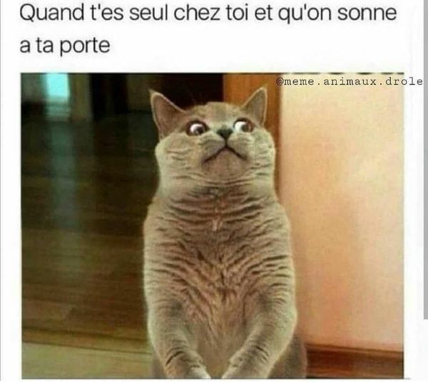 Blague   Quand tu es seul chez toi et que l'on sonne à ta porte