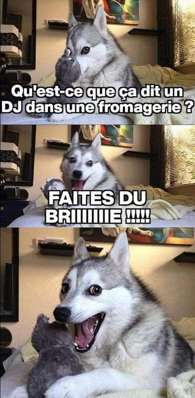 Blague   qu'est ce que dit un Dj dans une fromagerie   faite du brie