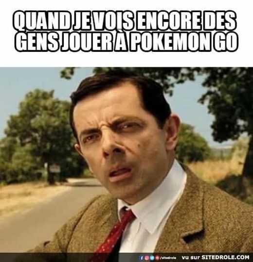 Blague   quand je vois encore des gens jouer jouer à pokemon go