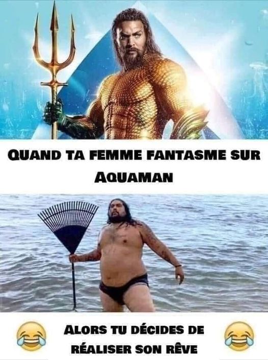 Blague   quand ta femme fantasme sur aquaman alors tu décides de réaliser son rêve