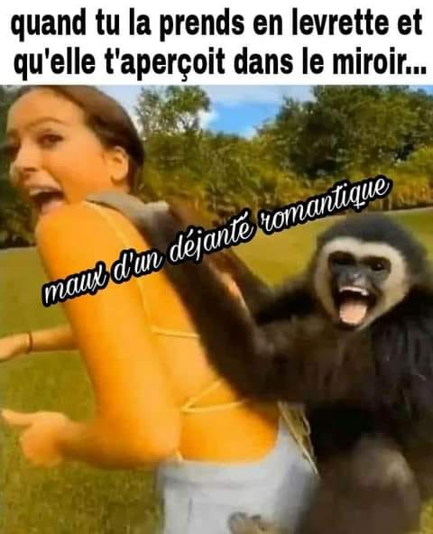 Blague   quand tu la prend en levrette et qu'elle t'aperçoit dans le  mirroir