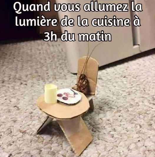 Blague   quand vous allumez la lumière de la cuisine à 3 h du matin