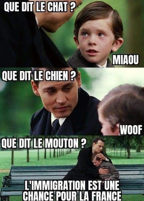 Blague   que dit le chat miaou que dit le chien woof que dit le mouton