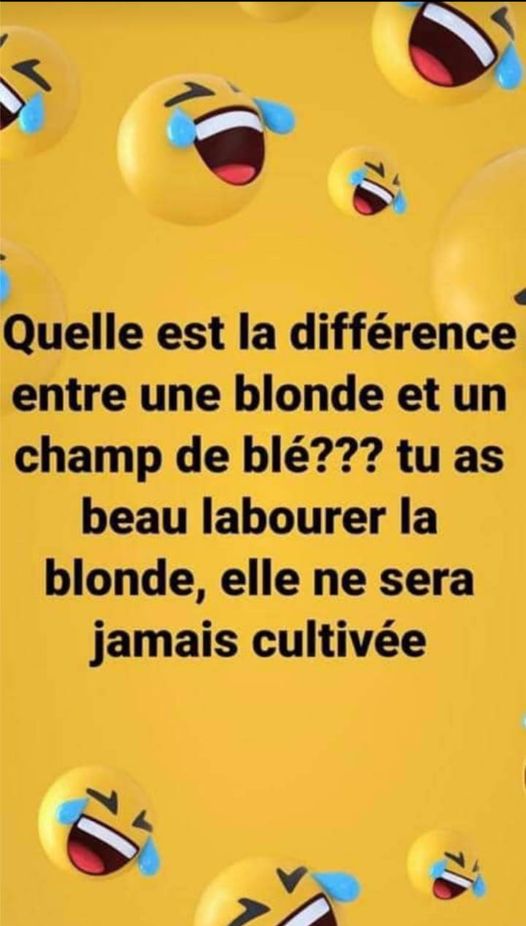 Blague   quelle est la différence entre une blonde et un champ de blé Réponce tu as beau labourer la blonde elle ne sera jamais cultiver