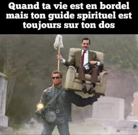 Blague   Réel   terminator   quand ta vie est un bordel mais ton guide spirituel est toujours sur ton dos