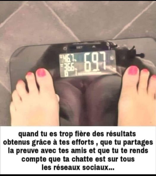 Blague   réflet sur balance   quand tu es fière des résultat et que tu rend compte que ta chatte est sur tous les réseaux soociaux