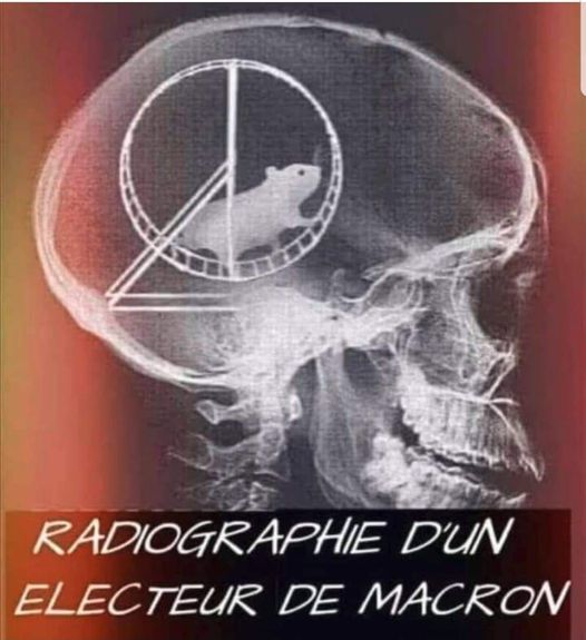 blague   radiographie d'un électeur de Macron