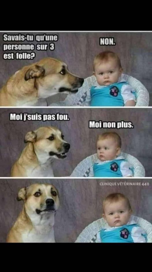 Blague   savais tu qu'une personne sur 3 est folle   non dit le bébé le chien dit ce n'est pas moi   le bébé dit moi non plus