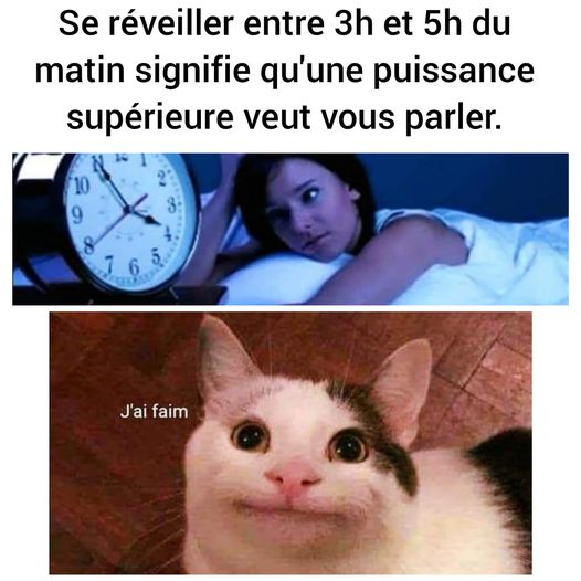 Blague   se révéillez entre 3h et 5h du matin signifie qu'une puissance supérieure veux vous parler   le chat dit j'ai faim