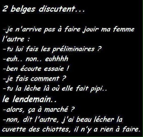 Blague   sexe   2 belges discutes tu arrive à faire jouir ta femme le belge dit non   ba leche lui la ou elle fait pipi   j'ai beau lecher les chiotte je n'arrive pas