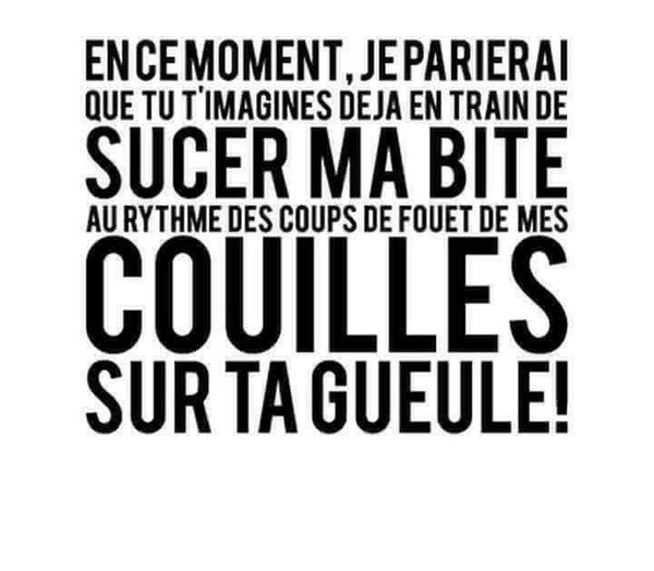 Blague   sexe   citation   en ce moment je parierai que tu t'imagine déjà en train de sucer ma bite au rythme des coups de fouet de mes couilles sur ta gueule