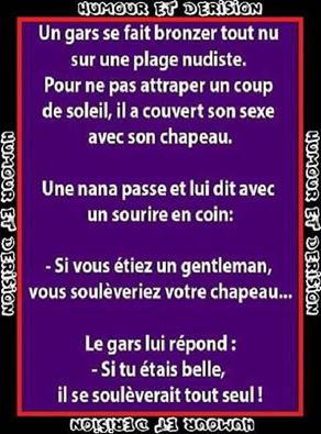 Blague   sexe   un gars chez les nudiste bronze avec un chapeau sur le sexe   une femme dit vous voudrez bien soulever votre chapeau