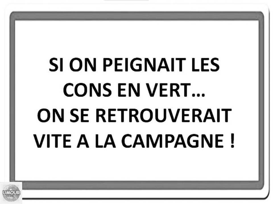 Blague   si on peignait les cons en vert on se retrouverait vite à la campagne