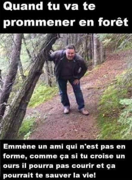 Blague   si tu va te promene ren foret enmène un ami qui n'est pas en forme comme ça si tu crois eun ours il pourra pas courir