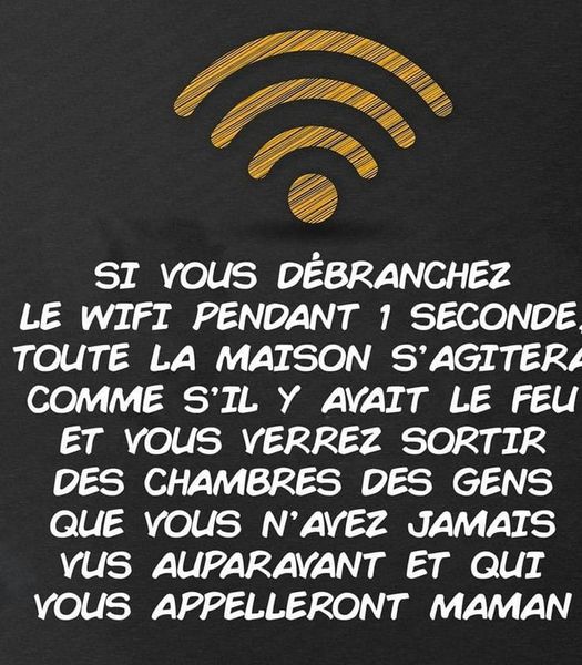 Blague   si vous débranchez la wifi pendant 1 seconde toute la maison s'agitera comme s'il y avait le feu et vous verrez sortir des chambres des gens que vous n'avez jamais vus auparavant et qui vous appelons